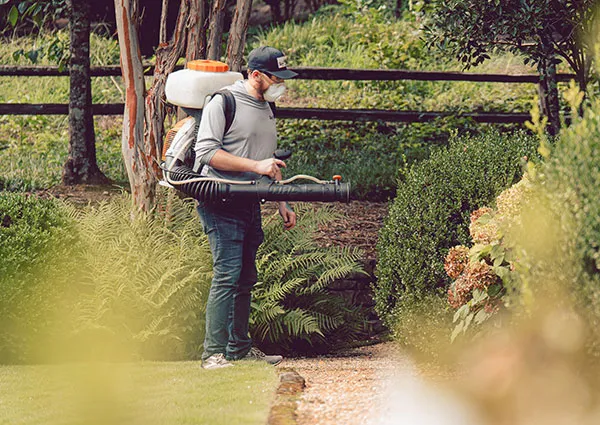 A man with a backpack sprayer wearing a mask spraying shrubs along a landscaped garden path for pest control