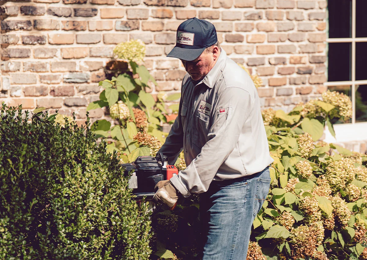 A man trimming boxwood hedge with electric hedge trimmer in front yard beside brick house