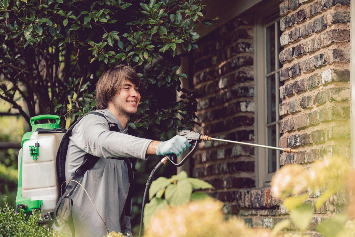 A man using a backpack sprayer to apply pest control treatment to a brick house exterior