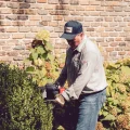 Man trimming boxwood hedge with gas hedge trimmer in front of brick house, residential landscaping and lawn care